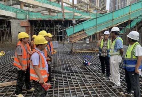 提供劳务者受害责任纠纷中责任分摊的法律解析与实践指南