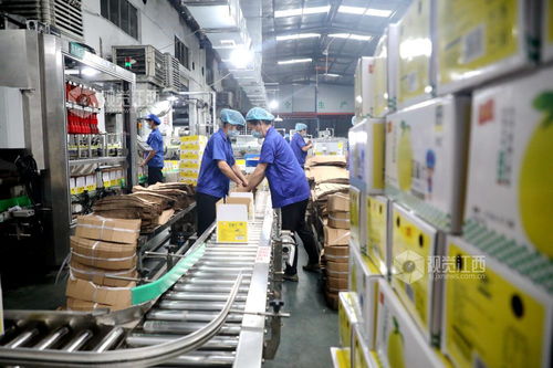 峡江食品企业 产销两旺与绿化服务协同发展